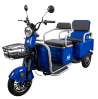 Electric Passenger Tricycle with Double Bench Bendis TRCC1200 EvoTools®